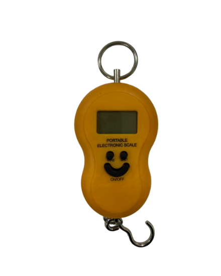 Picture of Portable electronic scale