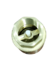 Picture of FIRMER Brass Spring Check Valve